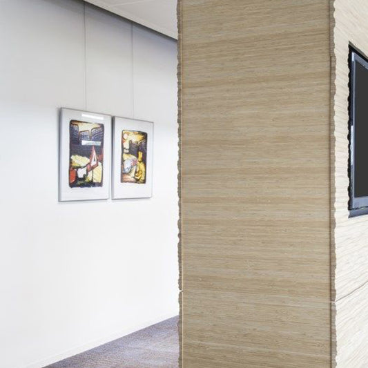 STAS Minirail Thinnest Picture Rail System | Infinitting